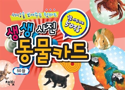 생생사진 동물카드