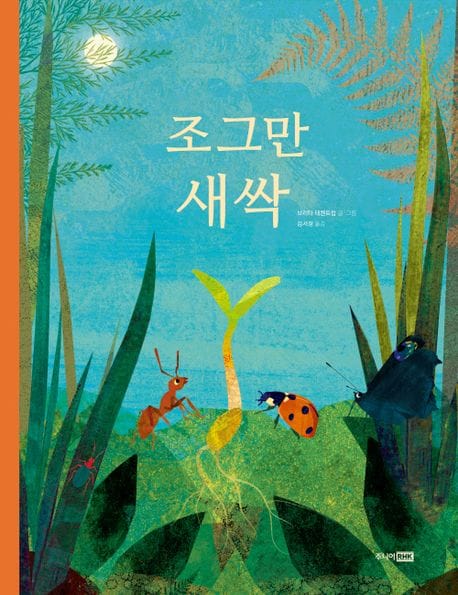 조그만 새싹