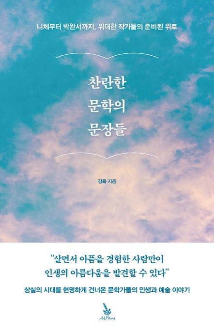 찬란한 문학의 문장들 (니체에서 박완서까지, 위대한 작가들의 준비된 위로)