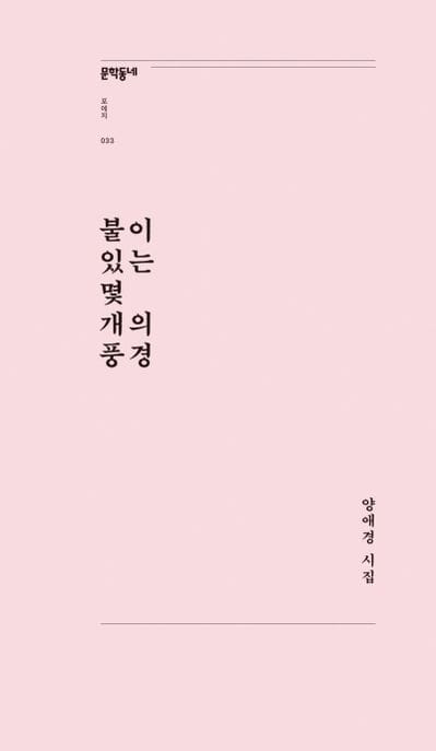 불이 있는 몇 개의 풍경 (양애경 시집)