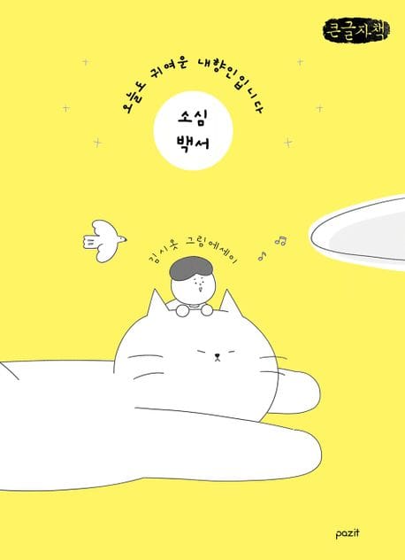 [큰글자책] 소심백서 - 오늘도 귀여운 내향인입니다