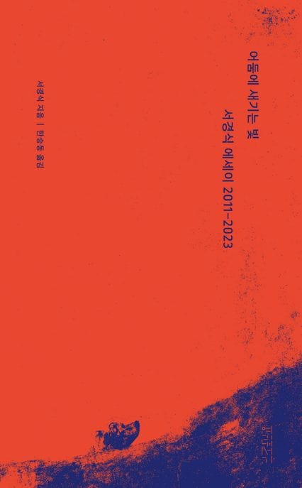 어둠에 새기는 빛 (서경식 에세이 2011-2023)