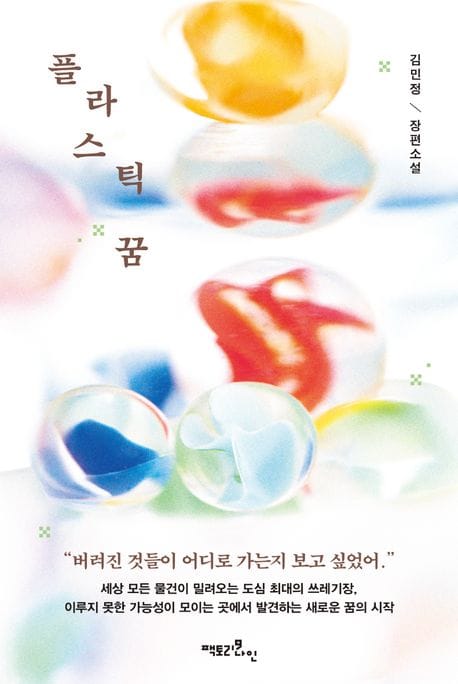 플라스틱 꿈 (김민정 장편소설)