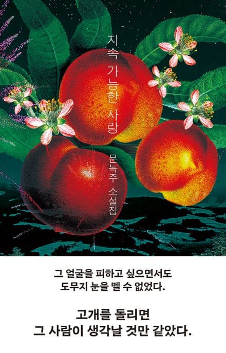 지속 가능한 사랑 (문녹주 소설집)