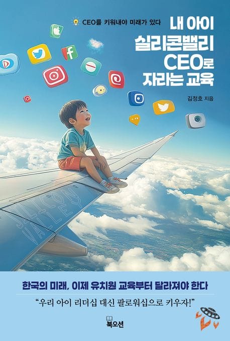 내 아이 실리콘밸리 CEO로 자라는 교육 (CEO를 길러내야 미래가 있다)