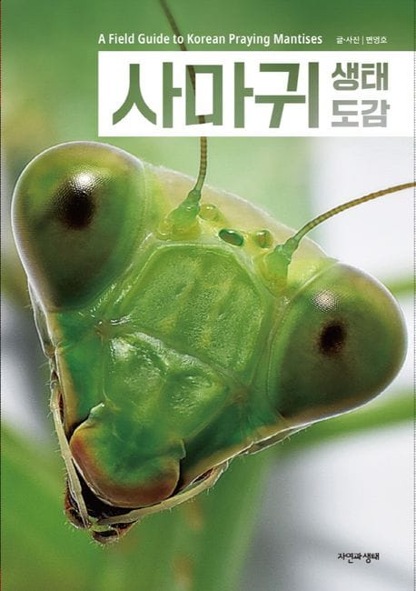 사마귀 생태 도감