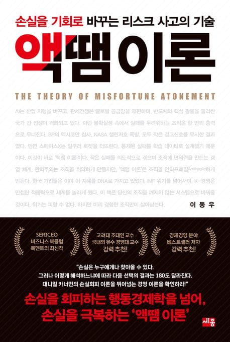 액땜 이론 - 손실을 기회로 바꾸는 리스크 사고의 기술