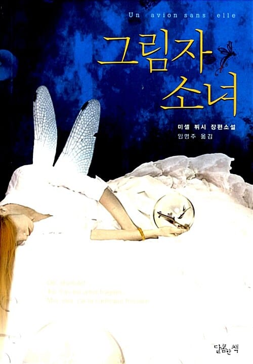 그림자 소녀 (미셸 뷔시 장편소설)