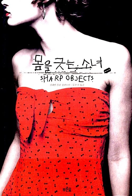 몸을 긋는 소녀 (길리언 플린 장편소설,SHARP OBJECT)