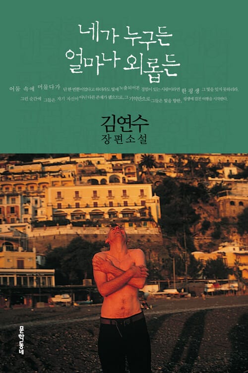 네가 누구든 얼마나 외롭든 (김연수 장편소설)