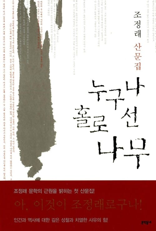 누구나 홀로 선 나무 (조정래 산문집)
