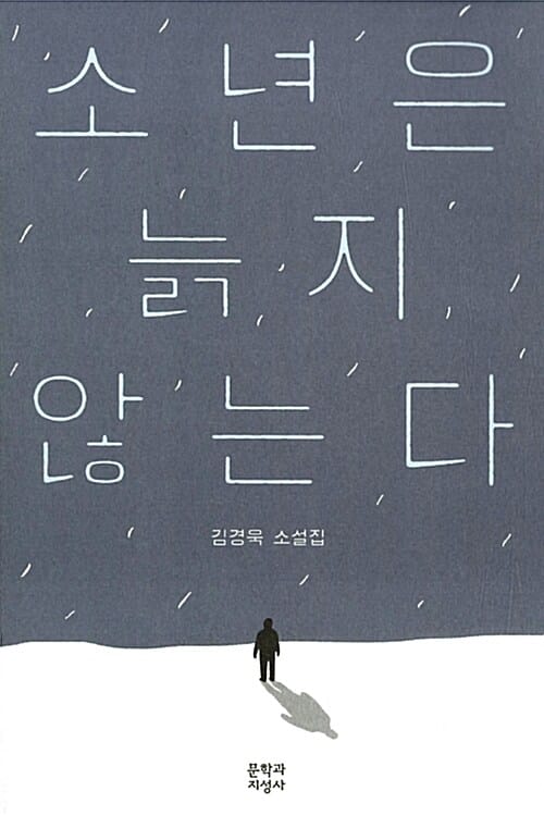 소년은 늙지 않는다 (김경욱 소설집)