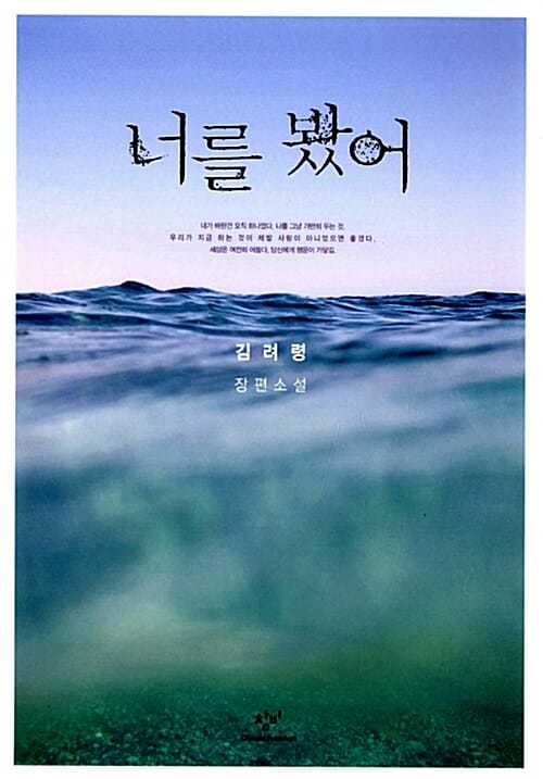너를 봤어 (김려령 장편소설)