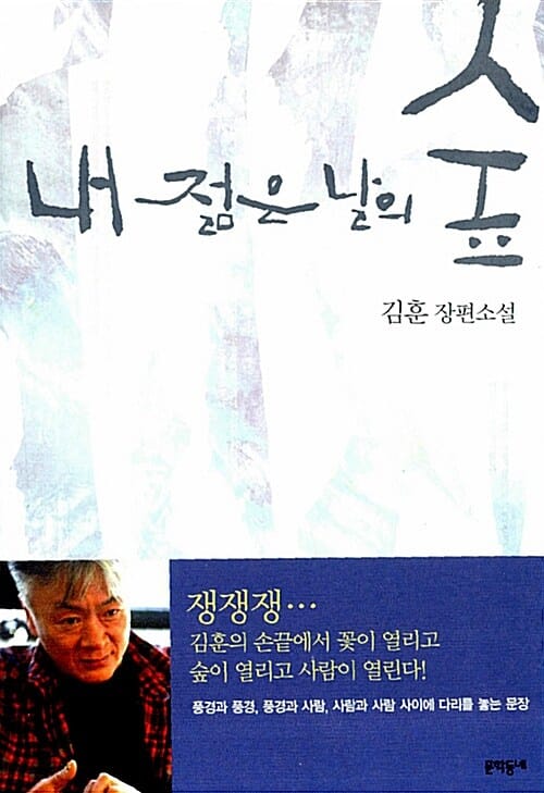 내 젊은 날의 숲