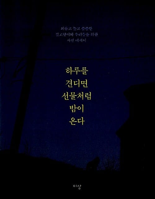 하루를 견디면 선물처럼 밤이 온다 (외롭고 높고 쓸쓸한 길고양이와 우리들을 위한 사진 에세이)