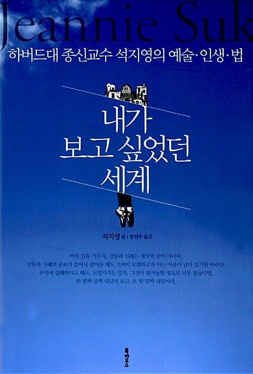 내가 보고 싶었던 세계 (하버드대 종신교수 석지영의 예술.인생.법)