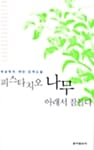 피스타치오 나무 아래서 잠들다