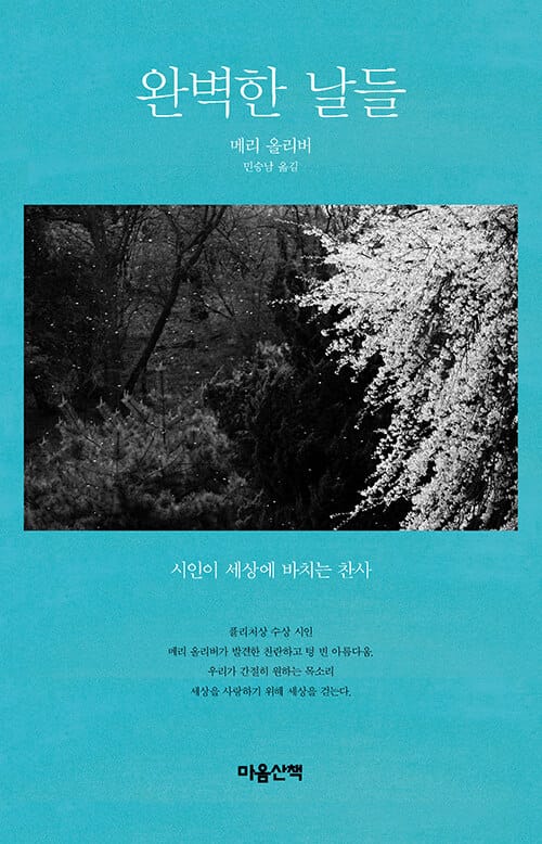 완벽한 날들 (시인이 세상에 바치는 찬사)