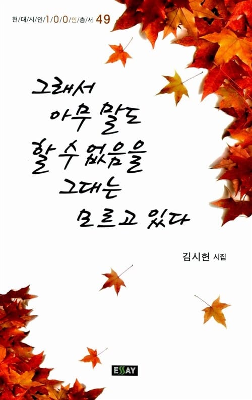 그래서 아무 말도 할 수 없음을 그대는 모르고 있다 (김시헌 시집)