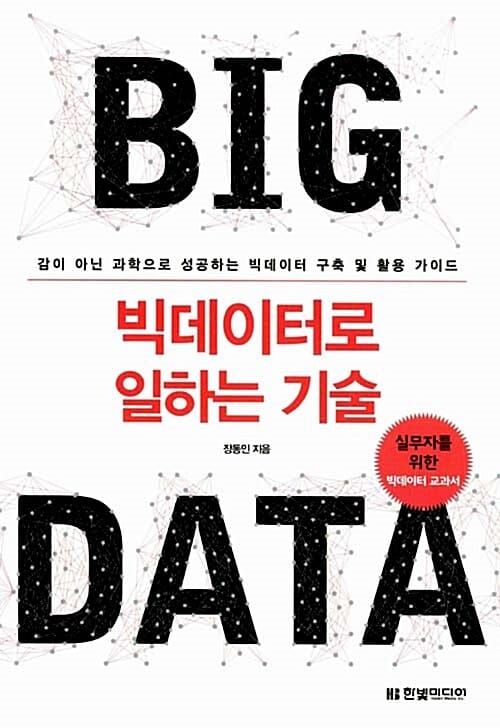 빅데이터로 일하는 기술 (감이 아닌 과학으로 성공하는 빅데이터 구축 및 활용 가이드)