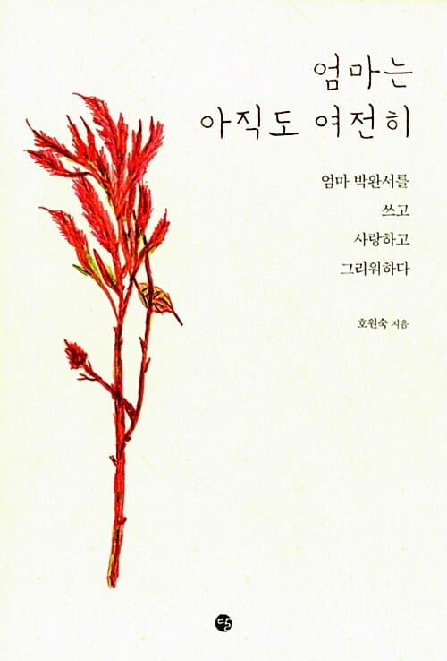 엄마는 아직도 여전히 - 엄마 박완서를 쓰고 사랑하고 그리워하다
