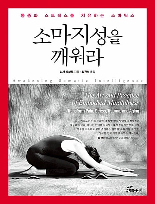 소마지성을 깨워라 (통증과 스트레스를 치유하는 소마틱스)