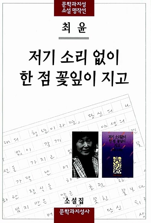 저기 소리 없이 한 점 꽃잎이 지고 (최윤 소설집)