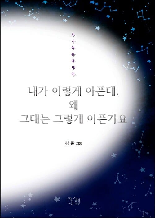 내가 이렇게 아픈데 왜 그대는 그렇게 아픈가요 (시가 먹은 에세이)