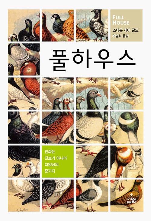 풀 하우스