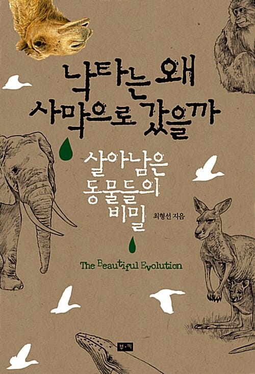 낙타는 왜 사막으로 갔을까 (살아남은 동물들의 비밀)