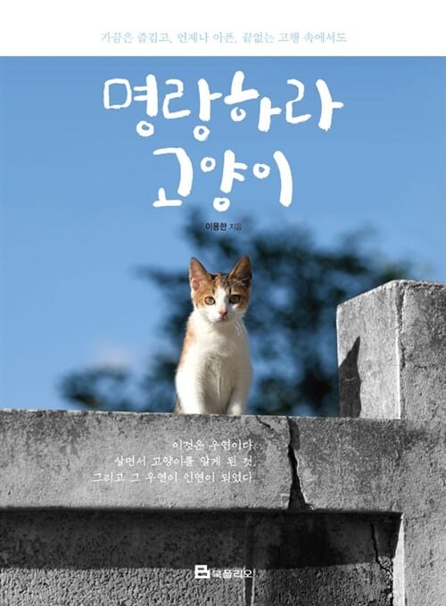 명랑하라 고양이 - 가끔은 즐겁고, 언제나 아픈, 끝없는 고행 속에서도