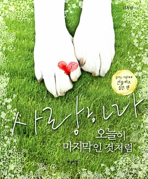 사랑하라 오늘이 마지막인 것처럼