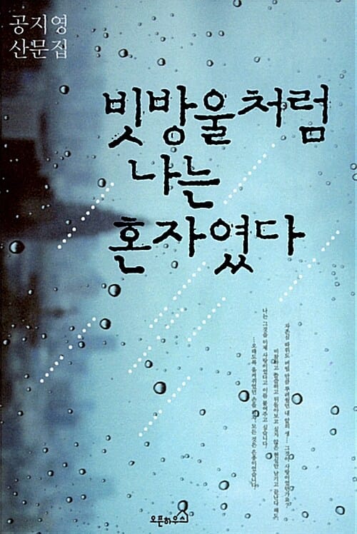 빗방울처럼 나는 혼자였다 (공지영 산문집)