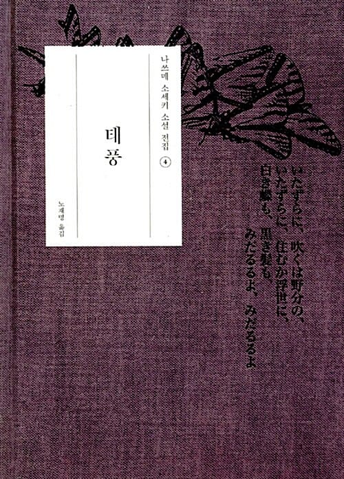 태풍