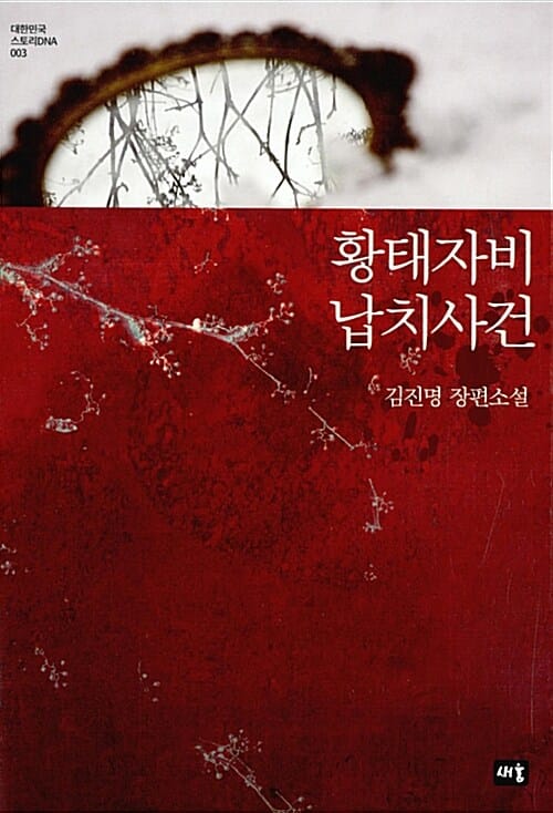 황태자비 납치사건 (김진명 장편소설)