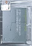 그때 나를 통과하는 바람이 내게 물었다. 아직도... 그립니? (박광수감성사진일기)
