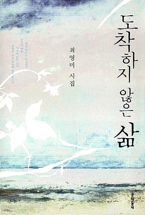 도착하지 않은 삶 (최영미 시집)
