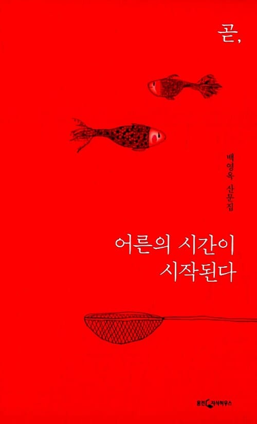 곧, 어른의 시간이 시작된다