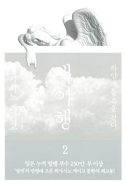 백야행 2 (하얀 어둠 속을 걷다)