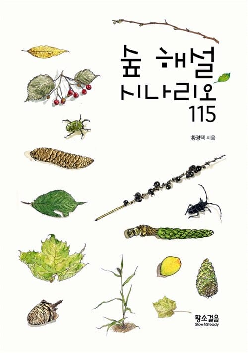 숲 해설 시나리오 115