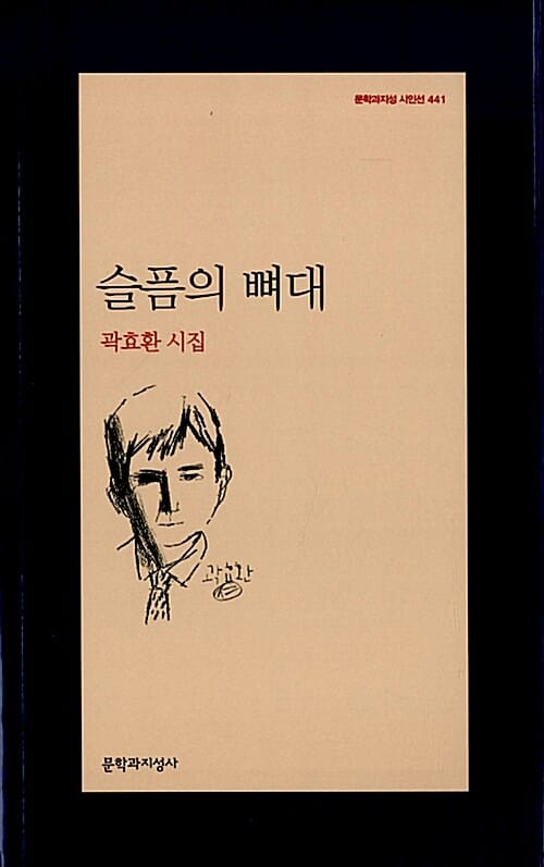 슬픔의 뼈대 (곽효환 시집)