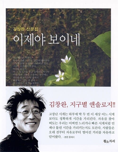 이제야 보이네 (김창완 산문집)