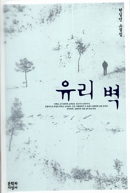 유리 벽 (현길언 소설집)