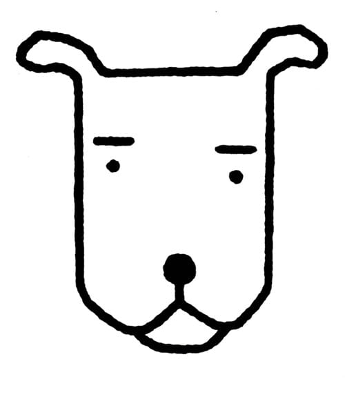 OLD DOG