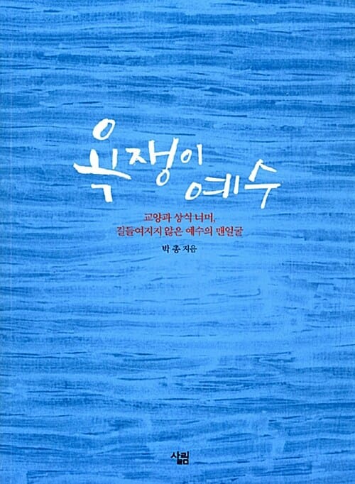 욕쟁이 예수 (교양과 상식 너머 길들여지지 않은 예수의 맨얼굴)