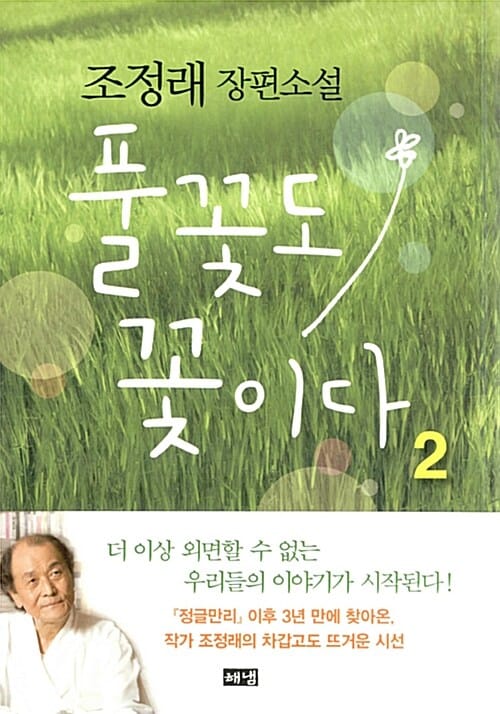 풀꽃도 꽃이다 2 (조정래 장편소설)
