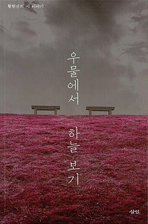 우물에서 하늘 보기 (황현산의 시 이야기)