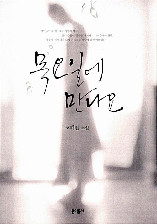 목요일에 만나요 (조해진 소설)