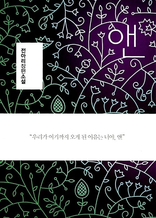 앤 (전아리 장편소설)
