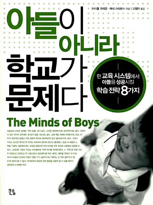 아들이 아니라 학교가 문제다 (현 교육 시스템에서 아들을 성공시킬 학습 전략 8가지)